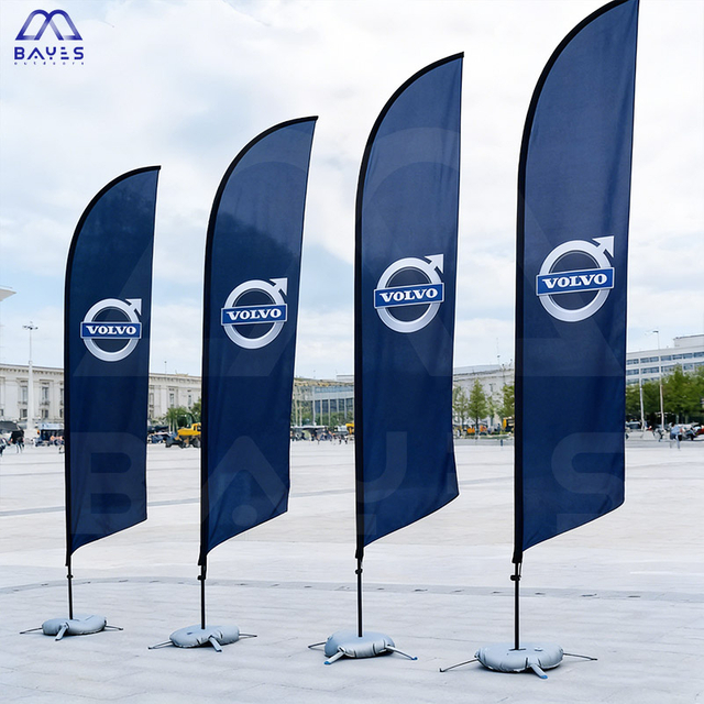 Display Flags